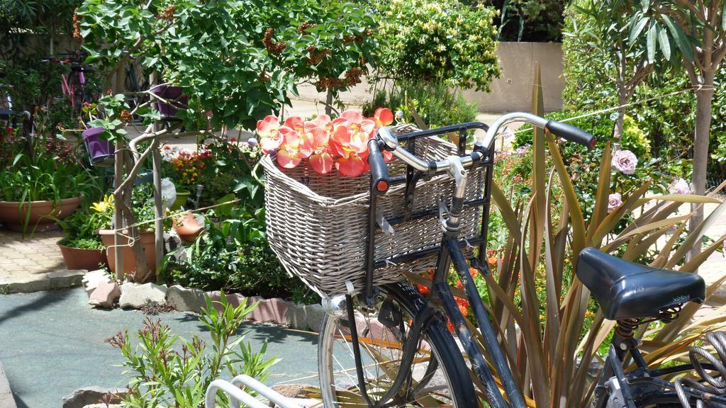 Cap D'Agde Studio - Village Naturiste المظهر الخارجي الصورة